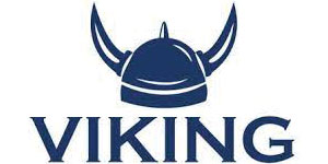 viking insurance logo